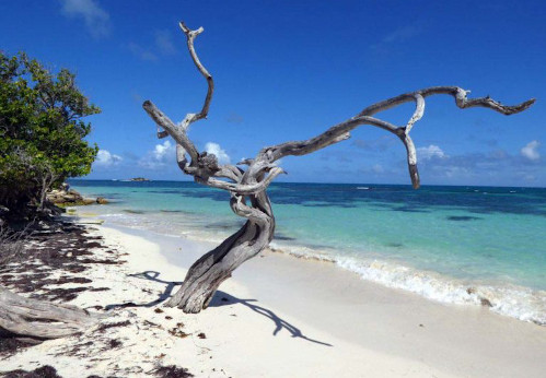 antigua and barbuda beach