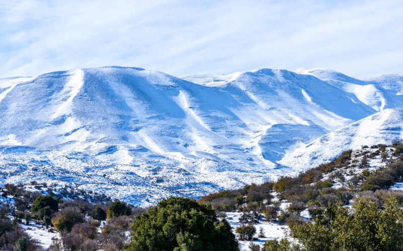 holiday rentals, mount ida covered in snow