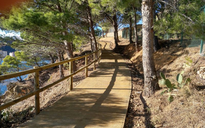 colera pine forest walk costa brava