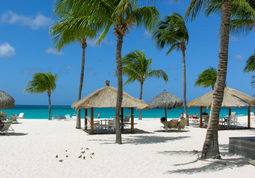 eagle beach, aruba vacation luxury villa rentals