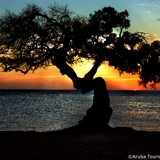 Photo of Eagle Beach Aruba