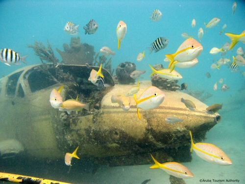 Large photo of Eagle Beach Aruba