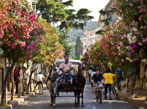 Large photo of Istanbul