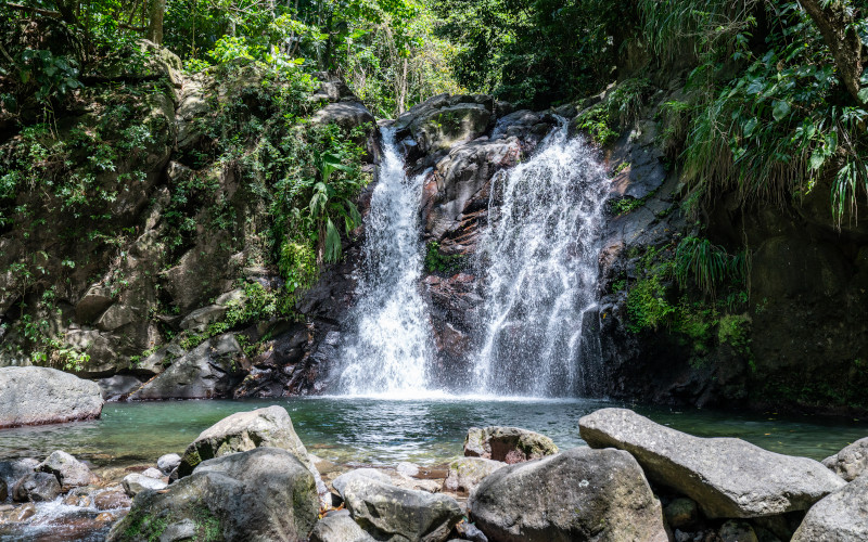 cascade didier waterfall on martinique