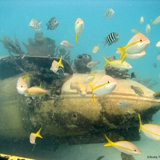 Photo of Malmok Beach Aruba