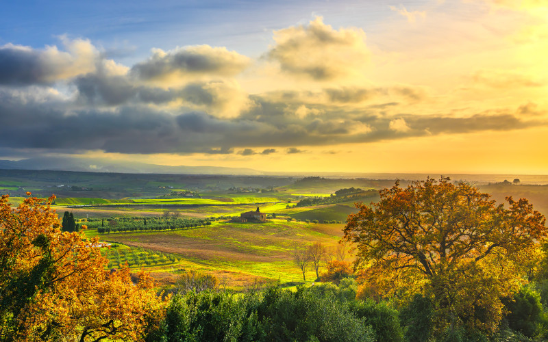 marina di bibbona countryside