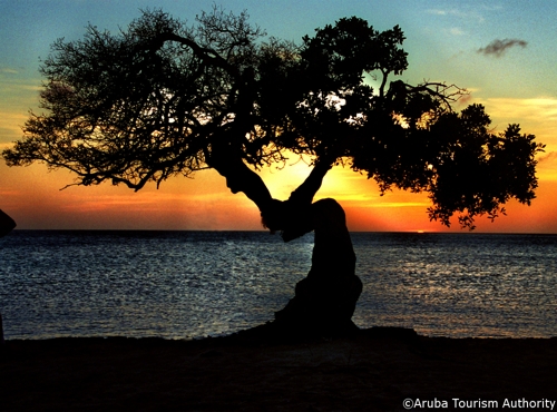Large photo of Palm Beach Aruba