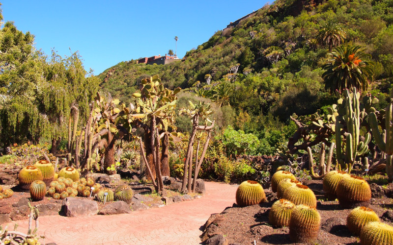 botanical gardens in tafira alta gran canaria