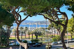 Cannes accommodation villas for sale in Cannes apartments to buy in Cannes holiday homes to buy in Cannes