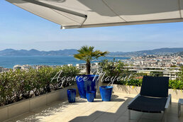 Cannes accommodation villas for sale in Cannes apartments to buy in Cannes holiday homes to buy in Cannes